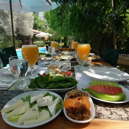 Mr. Dim Exclusive Apart