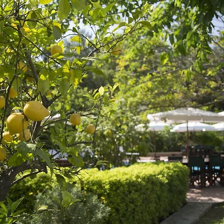 Apart Otel Mr. Dim Exclusive Göcek