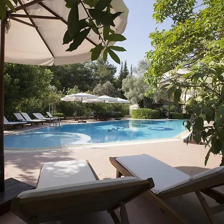 Mr. Dim Exclusive Apart 2*