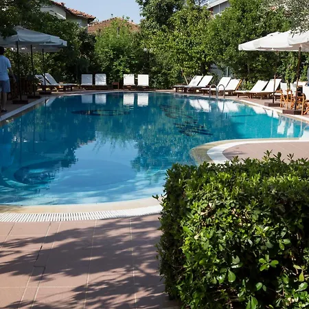 Mr. Dim Exclusive 2*