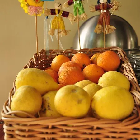 Mr. Dim Exclusive Apart 2*