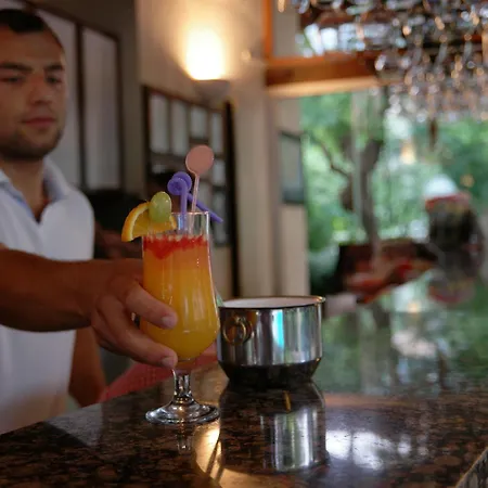 Mr. Dim Exclusive 2*