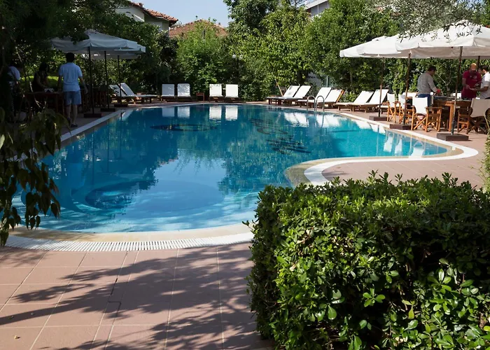 Mr. Dim Exclusive Apart 2*