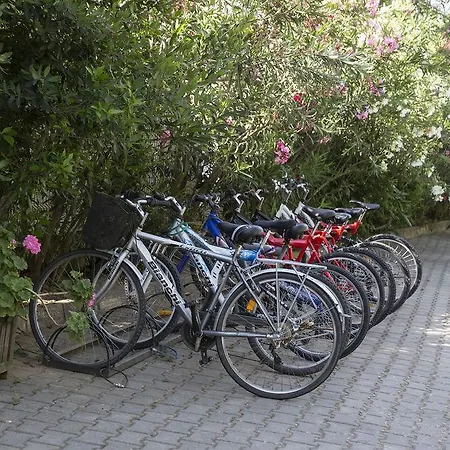 Mr. Dim Exclusive Göcek