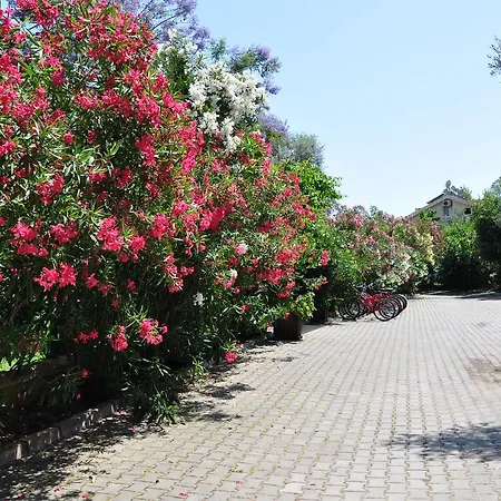 Aparthotel Mr. Dim Exclusive Göcek