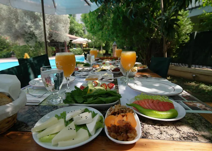 Mr. Dim Exclusive Apart