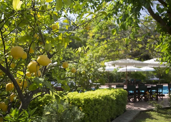 Aparthotel Mr. Dim Exclusive Göcek