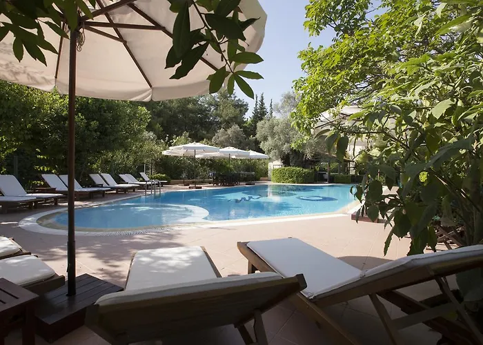 Mr. Dim Exclusive 2*