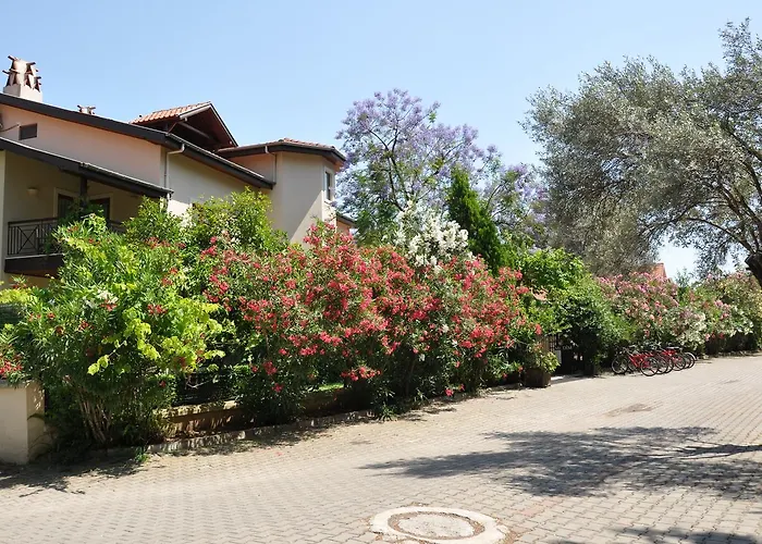 Mr. Dim Exclusive Apart