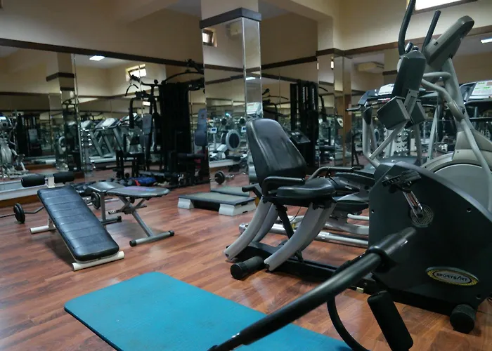 Mr. Dim Exclusive Apart