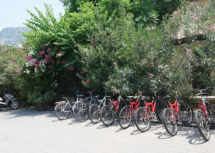 Mr. Dim Exclusive Apart 2* Гёчек